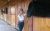 Buse - Resim6
