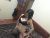 Otel Rezidans Gelen Escort Dilek - Resim3